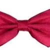Vesuvio Napoli Hot Pink Paisley Bow Ties With Matching Pocket Squares Men 1 Vesuvio Napoli Hot Pink Paisley Bow Ties With Matching Pocket Squares Men