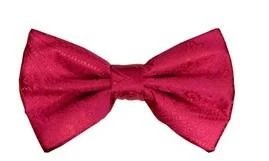 Vesuvio Napoli Hot Pink Paisley Bow Ties With Matching Pocket Squares Men 3 Vesuvio Napoli Hot Pink Paisley Bow Ties With Matching Pocket Squares Men