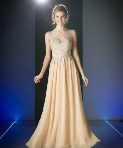 Long Lace Bodice Chiffon Dress By Cinderella Divine CF005