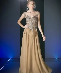 Long Lace Bodice Chiffon Dress By Cinderella Divine CF005