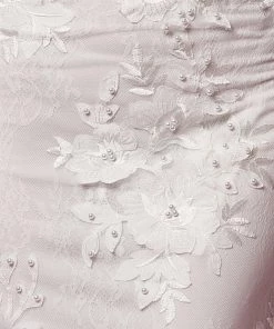 Lace Applique Fitted Overskirt Gown By Nox Anabel F485