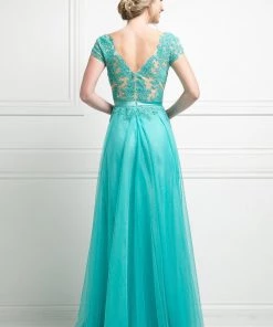 Lace Bodice Short Sleeve Gown By Cinderella Divine KD022