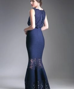 Fitted Lace Gown With Pleated Skirt By Cinderella Divine CF138