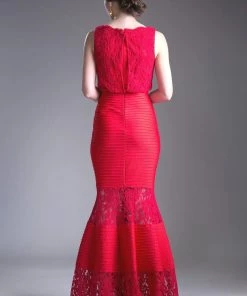 Fitted Lace Gown With Pleated Skirt By Cinderella Divine CF138