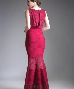 Fitted Lace Gown With Pleated Skirt By Cinderella Divine CF138