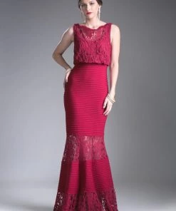 Fitted Lace Gown With Pleated Skirt By Cinderella Divine CF138