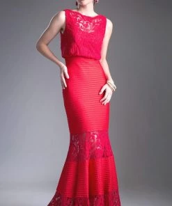 Fitted Lace Gown With Pleated Skirt By Cinderella Divine CF138