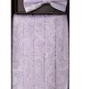 Vesuvio Napoli Lavender Paisley Cummerbund And Bow Tie Set Men