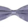 Vesuvio Napoli Men Lavender Silk Bow Ties