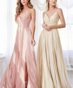 Long A-line Metallic Dress By Cinderella Divine CD161