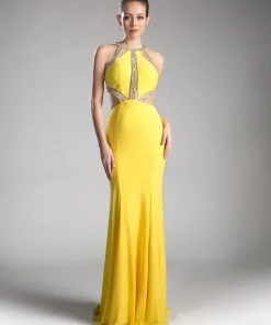 Prom Long Fitted Dress With Cut Outs By Cinderella Divine 62139