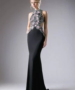 Fitted Long Floral Applique Dress By Cinderella Divine KC1799