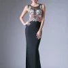 Prom Floral Applique Sleeveless Gown By Cinderella Divine HW11