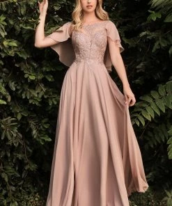 New Long Chiffon Capelet Dress By Cinderella Divine HT101