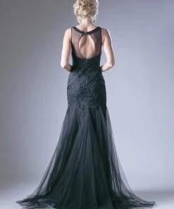 Lace Applique Mermaid Tulle Gown By Cinderella Divine 8936