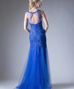 Lace Applique Mermaid Tulle Gown By Cinderella Divine 8936