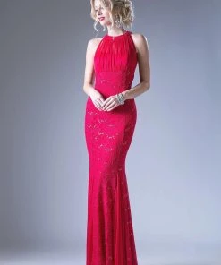 Long High Neck Lace Dress By Cinderella Divine A1613