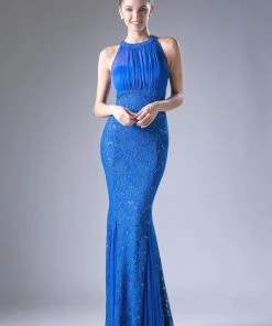 Long High Neck Lace Dress By Cinderella Divine A1613