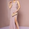 Long Illusion Deep V-Neck Jersey Dress By Elizabeth K GL2668 Prom