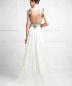 Long Illusion Chiffon Dress By Cinderella Divine J748