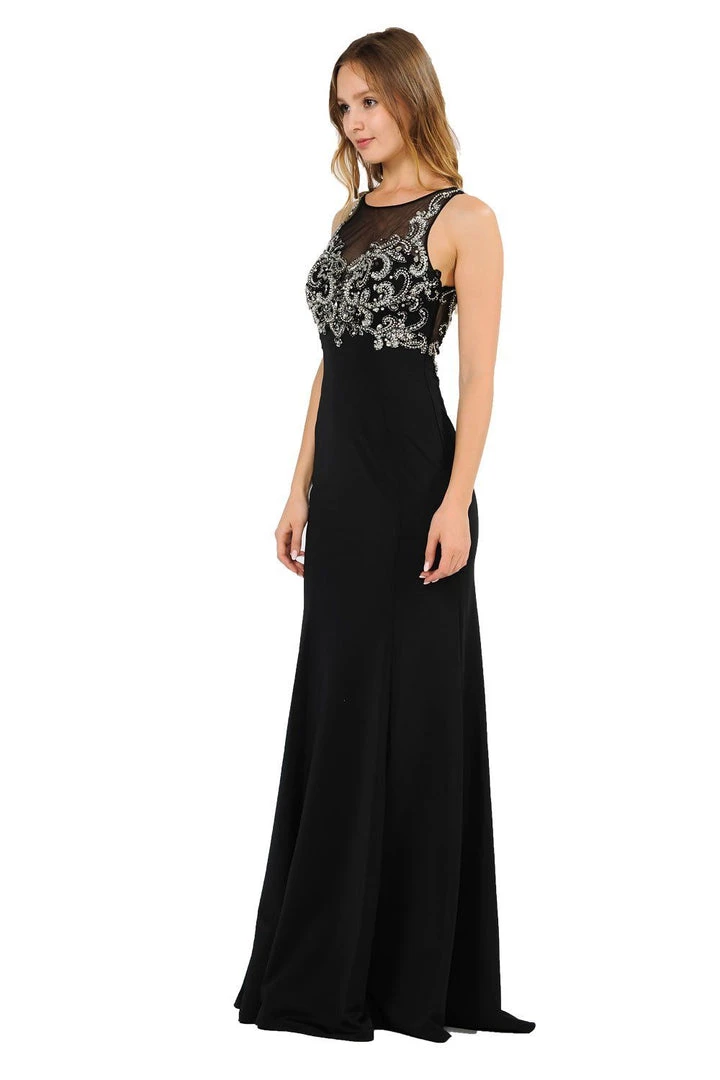 Long Jersey Dress With Sheer Embroidered Bodice By Poly USA 8348 13 Long Jersey Dress With Sheer Embroidered Bodice By Poly USA 8348