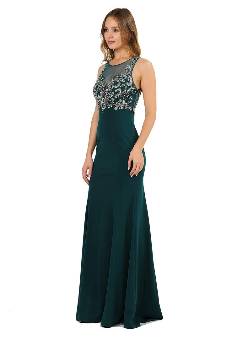 Long Jersey Dress With Sheer Embroidered Bodice By Poly USA 8348 4 Long Jersey Dress With Sheer Embroidered Bodice By Poly USA 8348