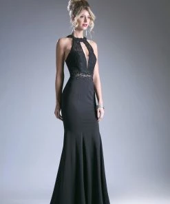 Prom Long Fitted Halter Dress By Cinderella Divine CF102