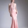Prom Long Fitted Halter Dress By Cinderella Divine CF102