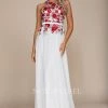Long Open Back Dress With Embroidered Bodice By Nox Anabel 8275 Prom