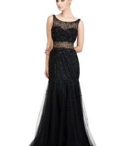 Long Sheer Beaded Evening Dress By Star Box 581