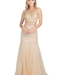 Long Sheer Beaded Evening Dress By Star Box 581