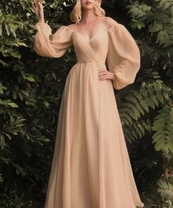 Prom Long Sleeve Chiffon Gown By Cinderella Divine CD243