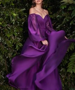 Prom Long Sleeve Chiffon Gown By Cinderella Divine CD243