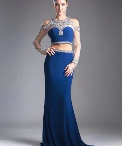 Long Two-Piece Dress With Sheer Sleeves By Cinderella Divine 71486 Prom