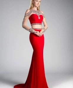 Long Two-Piece Dress With Sheer Sleeves By Cinderella Divine 71486 Prom