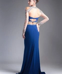 Long Two-Piece Dress With Sheer Sleeves By Cinderella Divine 71486 Prom