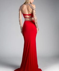 Long Two-Piece Dress With Sheer Sleeves By Cinderella Divine 71486 Prom