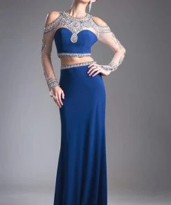 Long Two-Piece Dress With Sheer Sleeves By Cinderella Divine 71486 Prom