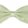 Vesuvio Napoli Mint Green Silk Bow Ties Men