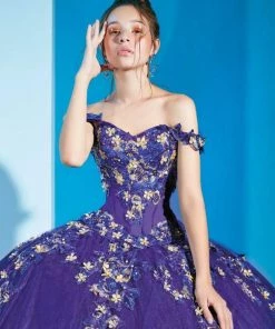 Ragazza Fashion 2 Piece Blue Quinceanera Dress By Ragazza D41-541 Quinceañera