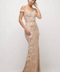 Lace Applique Off Shoulder Gown By Cinderella Divine UK012