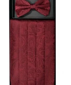 Vesuvio Napoli Men Paisley Cummerbund And Bow Tie Sets