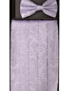 Vesuvio Napoli Men Paisley Cummerbund And Bow Tie Sets