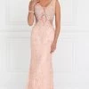 Prom Peach Lace Mermaid Gown With Sheer Cutouts By Elizabeth K GL1533 2 Prom Peach Lace Mermaid Gown With Sheer Cutouts By Elizabeth K GL1533