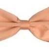 Vesuvio Napoli Men Peach Silk Bow Ties