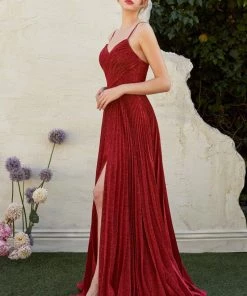 Prom Pleated Long Metallic Dress By Cinderella Divine CJ534