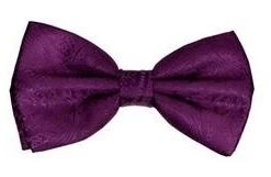 Vesuvio Napoli Men Plum Paisley Bow Ties With Matching Pocket Squares