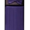 Vesuvio Napoli Men Plum Silk Satin Cummerbund And Bow Tie Set