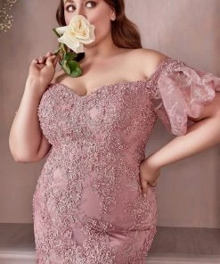 Prom Plus Size Lace Mermaid Gown By Cinderella Divine CD959C