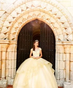 Princesa By Ariana Vara PR11926 Quinceanera Dress